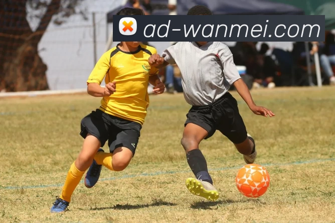 完美体育APP下载平台生态图